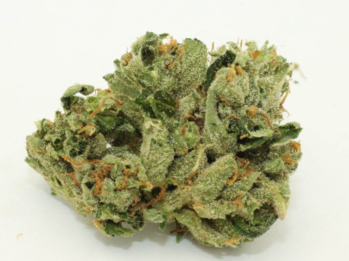 buy-loud-cannabis-strain