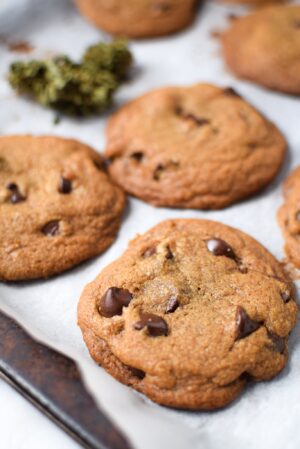 Chocolate Chip Cannabis Cookie