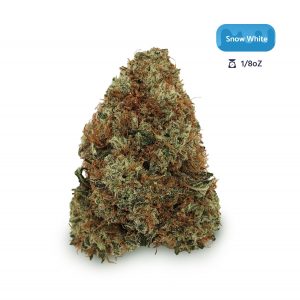 Mercedez Lebanon Hash