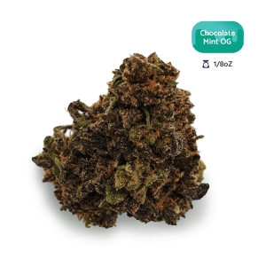 Chocolate Mint OG Strain