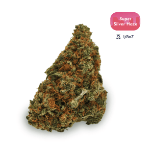 Super Silver Haze Strain