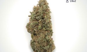 Gorilla Glue1 1 300x180, Cannabis &amp; Marijuana for Sale