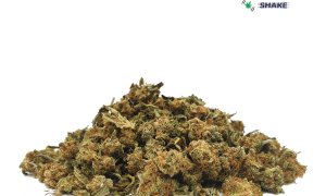 Grapefruit 1, Cannabis &amp; Marijuana for Sale