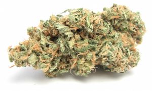 Hybrid, Cannabis &amp; Marijuana for Sale