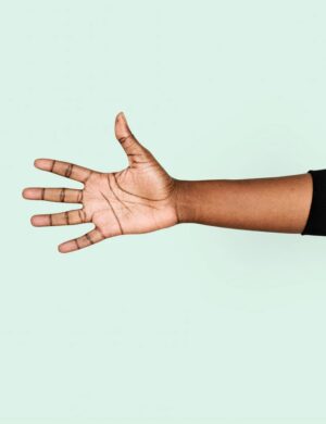 Black 350 mAh Battery w/USB Charger