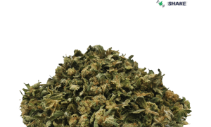 Shake Mimosa, Cannabis &amp; Marijuana for Sale