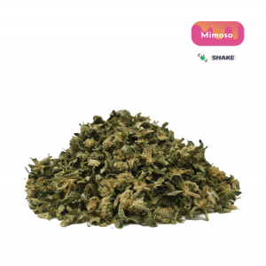 , Home, Cannabis & Marijuana for Sale