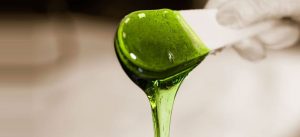 , Home, Cannabis &amp; Marijuana for Sale