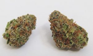15 1 3, Cannabis &amp; Marijuana for Sale