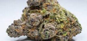 Jericho Haze Marijuana Strain