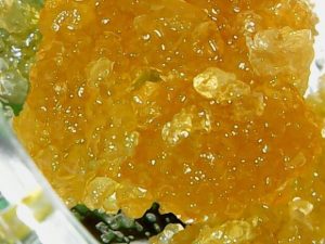 White Rhino Live Resin