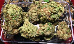27, Cannabis &amp; Marijuana for Sale