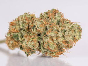 Buy Tangie Cannabis Strain UK