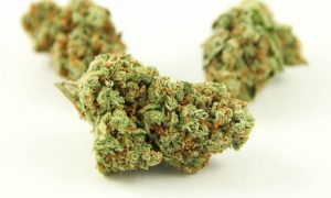 34, Cannabis &amp; Marijuana for Sale