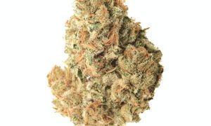 4 8, Cannabis &amp; Marijuana for Sale