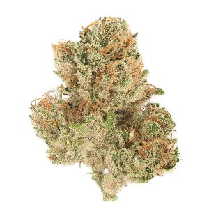 Destroyer Marijuana Strai