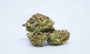 5 3, Cannabis &amp; Marijuana for Sale