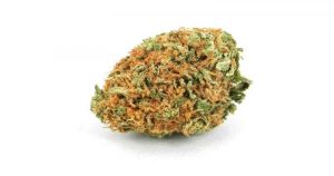 C4 Cannabis Strain UK