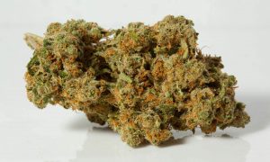 6 18, Cannabis &amp; Marijuana for Sale