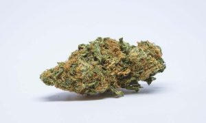 8 14 1, Cannabis &amp; Marijuana for Sale