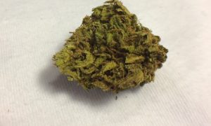 9 1, Cannabis &amp; Marijuana for Sale