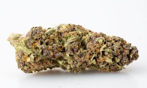 9 10, Cannabis &amp; Marijuana for Sale