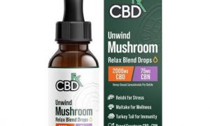 CBDfx Unwind Mushroom CBD Oil 300x180, Cannabis &amp; Marijuana for Sale