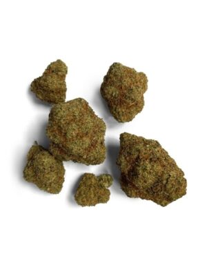 FACE OFF Premium Line